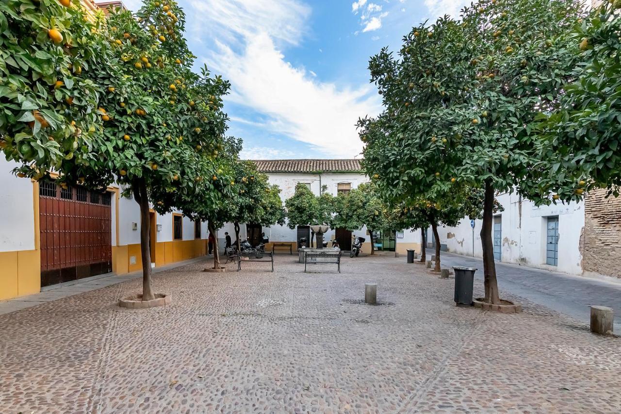 Ferienwohnung Bhost - Regina Ll Córdoba Exterior foto